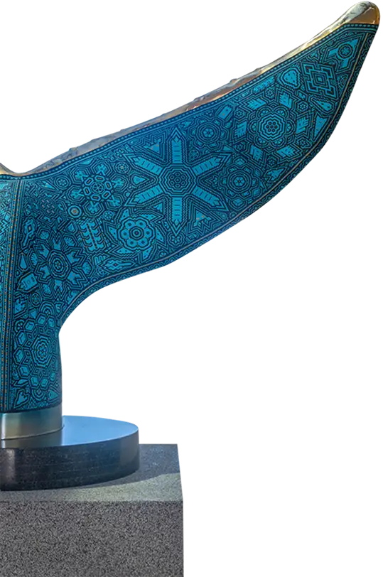 Whale tail